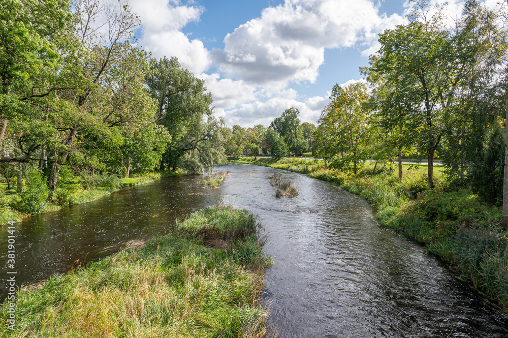 river in the forest