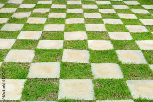 Checkered grid of grass and cement sheets in an outdoor park