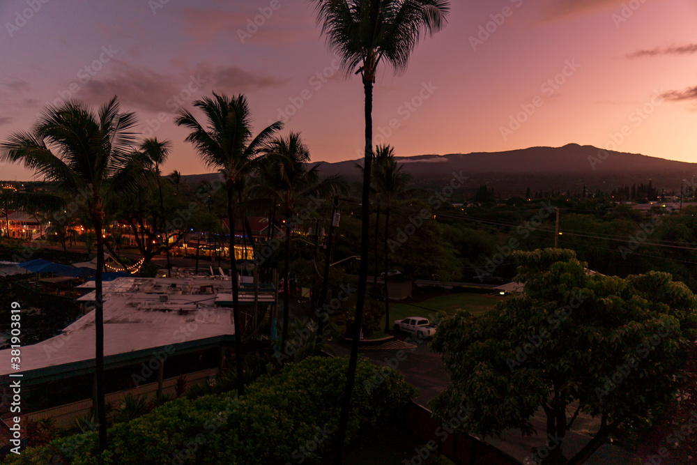 palm trees at sunset