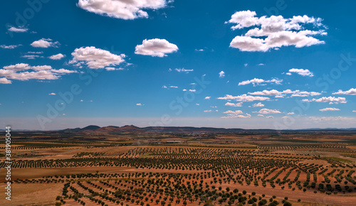 Campo agricola de olivos con la tierra en tonos naranjas y granates, al fondo los montes de Toledo con un cielo azul con pequeñas nubes blancas. Luz de mediodia