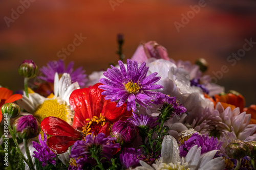 Beautiful bouquet of bright flowers