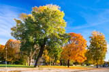 Autumn in old public park in Jurmala, Latvia