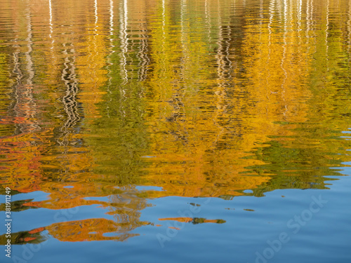 Golden autumn. Reflection of yellow and red leaves on the calm water on the surface of a forest lake in Karelia  northwest of Russia
