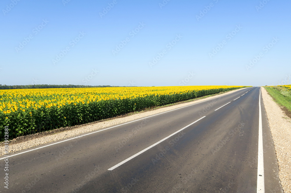 New asphalt road through the field. Close-up of an empty asphalt road. Clear horizon, blue sky and low-slung road. Green grass and yellow sunflowers on the roadside. New asphalt road through the field. Close-up of an empty asphalt road. Clear horizon, blue sky and low-slung road. Green grass and yellow sunflowers on the roadside.