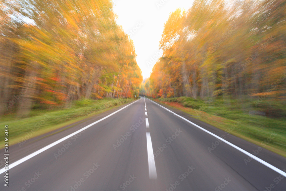 Obraz premium 一本道