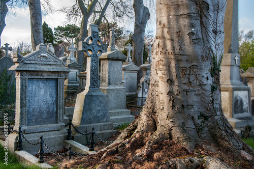 The Glasnevin cemetery photo