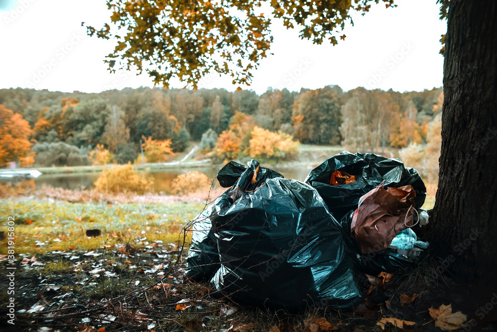 Garbage bags in the autumn forest by the lake. Garbage collection in  nature. The problem of pollution of the environment. Focus on trash bags  Stock Photo | Adobe Stock