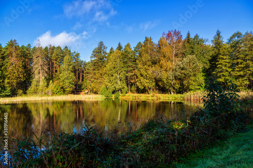 Jezioro Komosa w Puszczy Knyszyńskiej, Podlasie, Polska