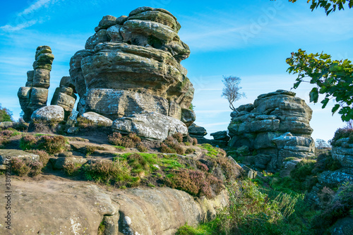 Brimham Rocks, Harrogate, North Yorkshire, England.