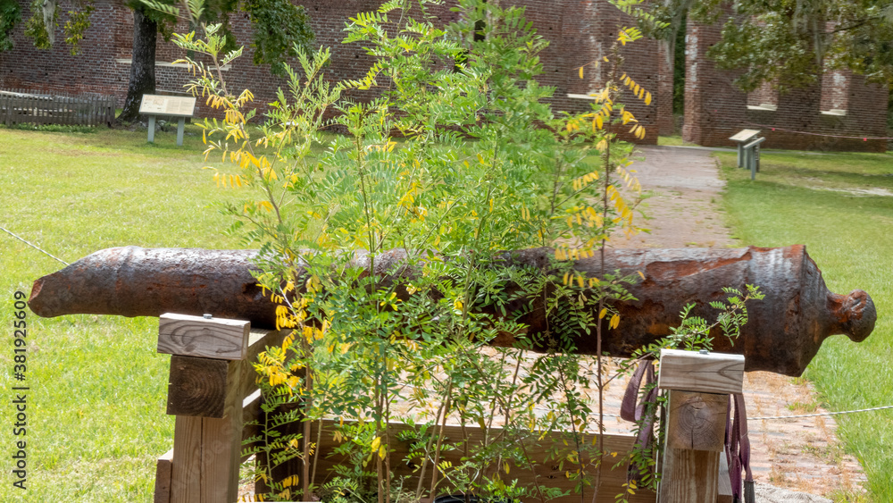 Fototapeta premium Cannon