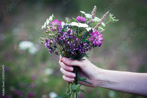 girl with a bouquet of Thymus serpyllum