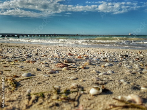 beach and sea