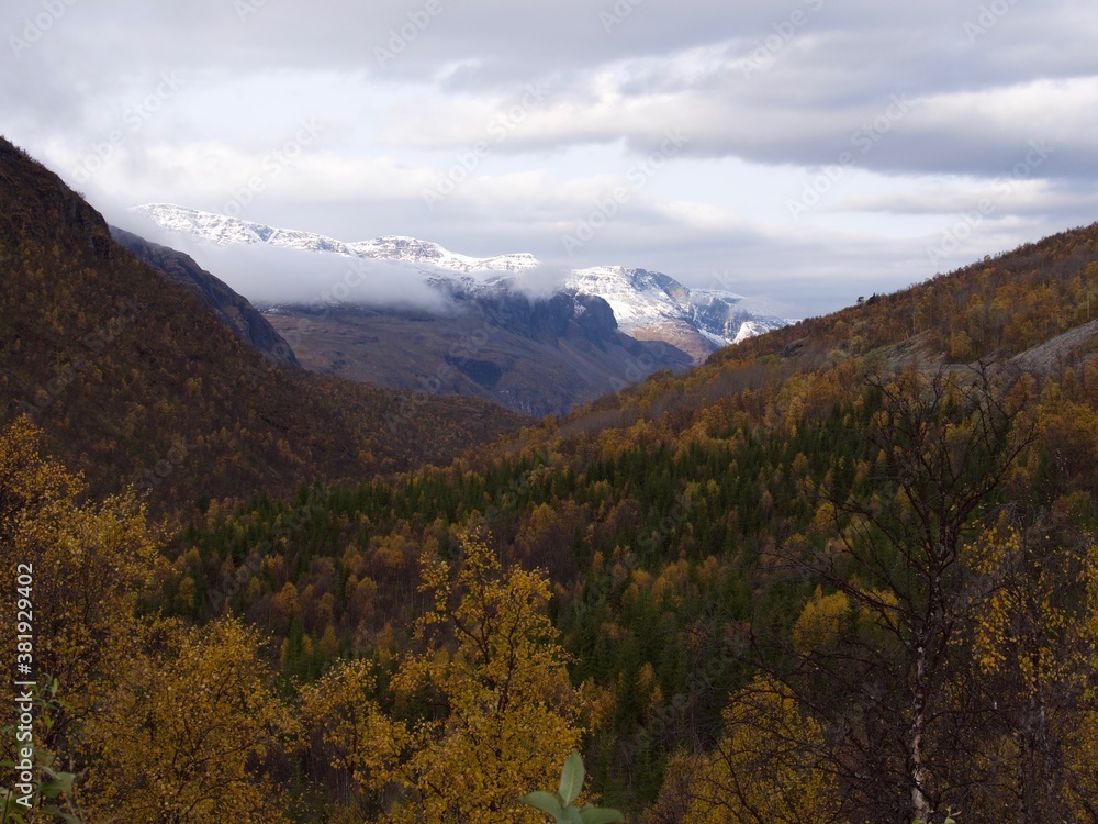 Scenic road in Norway on autumn day