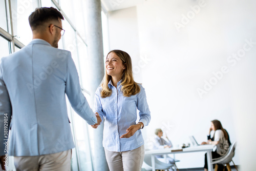 Young business partners mak...