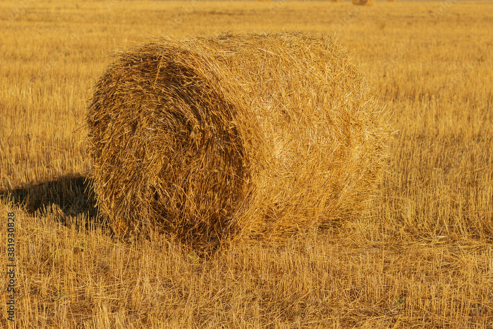 Hay bale. Haystack on rural nature on farmland, straw in the meadow Hay bale. Haystack on rural nature on farmland, straw in the meadow