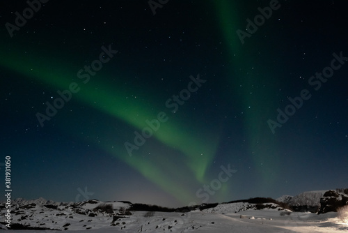Beautiful Northern Lights green above mountain and ocean © Alena