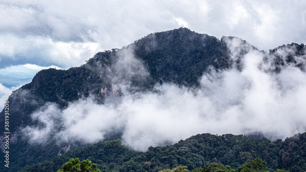 Fog is passing through the mountains of northern Thailand in the rainy season.