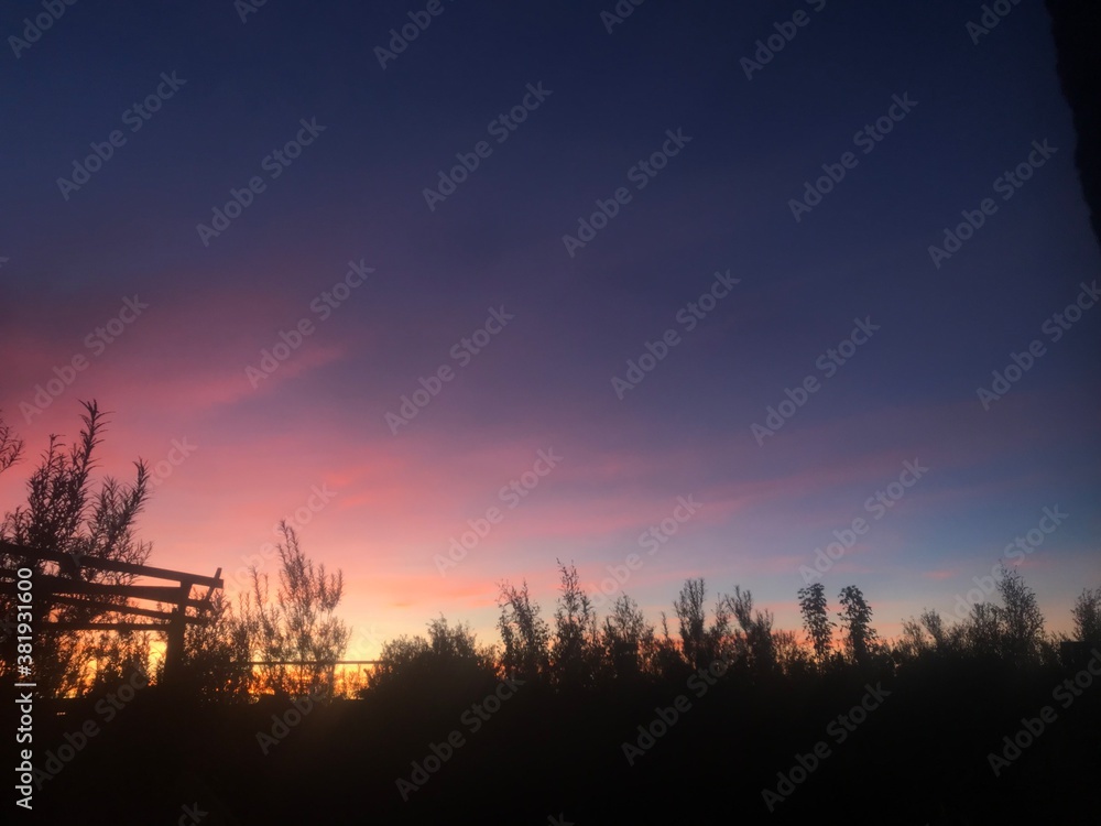 Fototapeta premium Lo que se ve es lo que hay