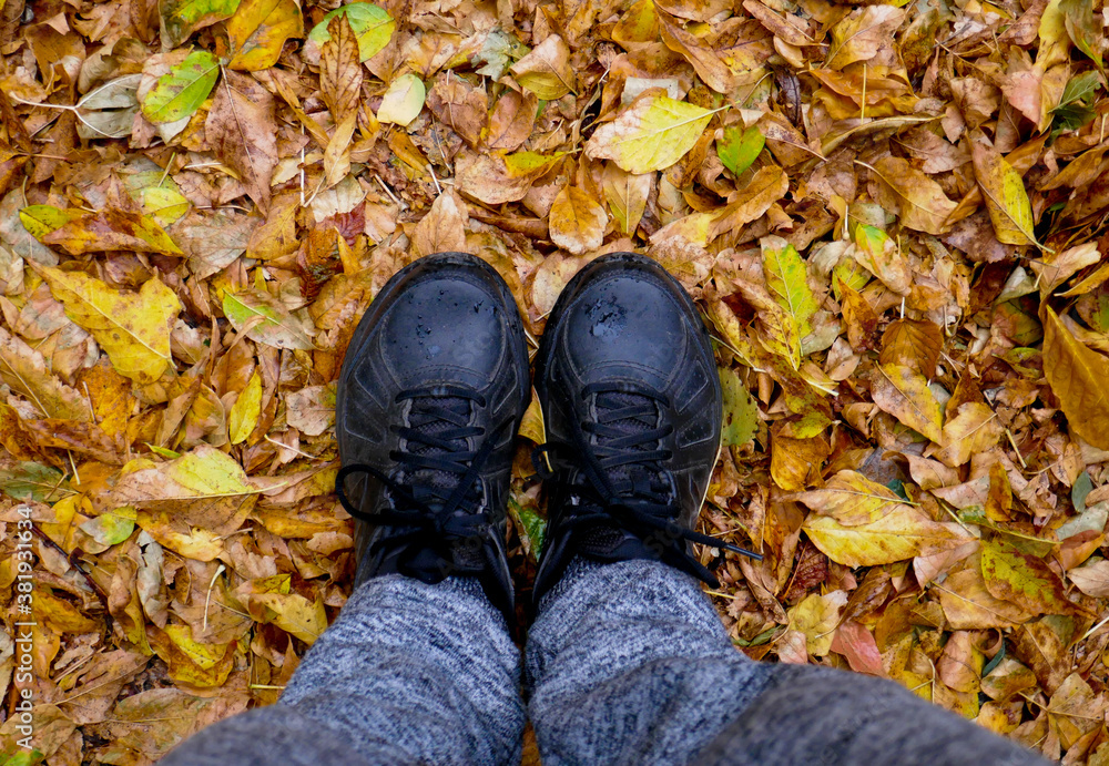 Autumn, a girl is standing in sneakers on her feet in the leaves. Autumn, a girl is standing in sneakers on her feet in the leaves.