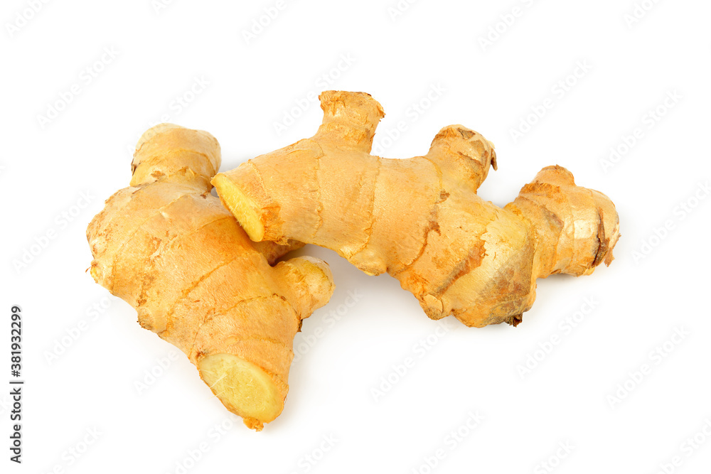 Fresh ginger root or rhizome isolated on white background . Fresh ginger root or rhizome isolated on white background .