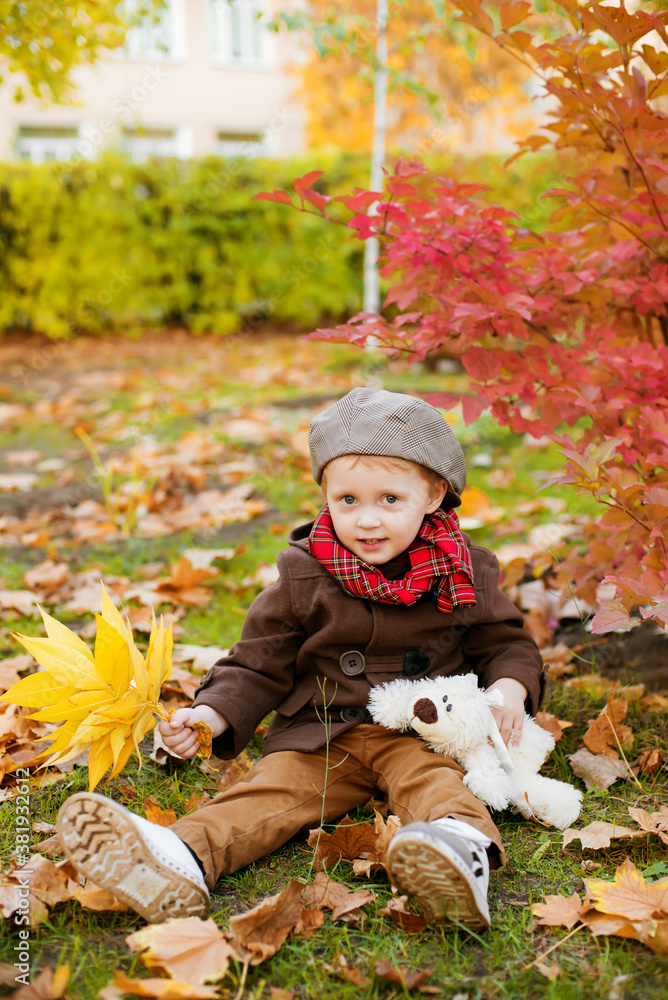 Little cute boy in an autumn coat and cap plays in an autumn park with yellow leaves and a toy teddy bear. Autumn mood
Little cute boy in an autumn coat and cap plays in an autumn park with yellow leaves and a toy teddy bear. Autumn mood