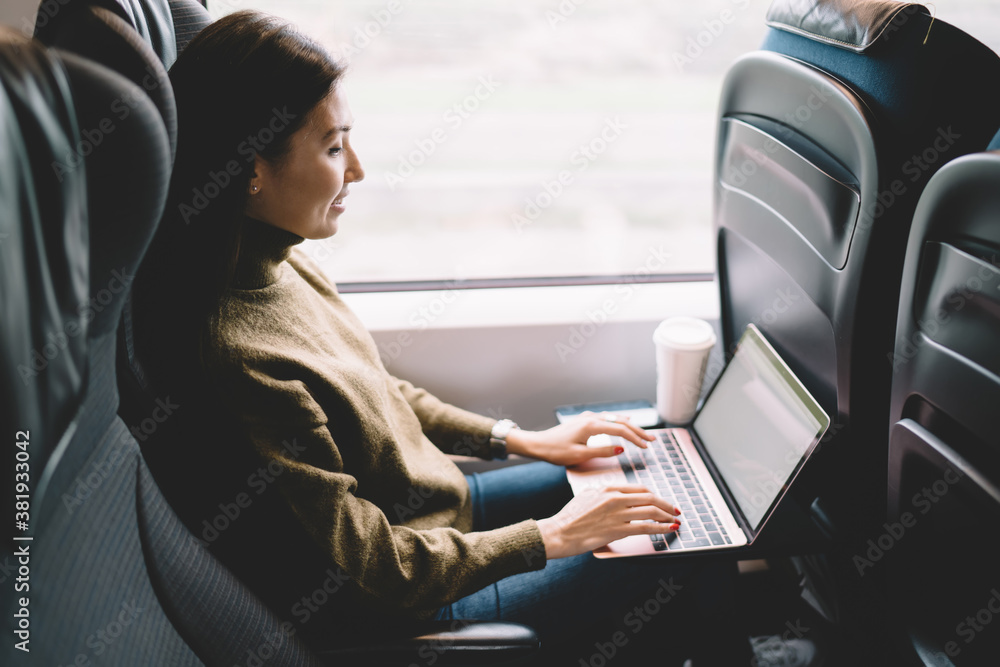 Fototapeta premium Cheerful lady resting in train with laptop