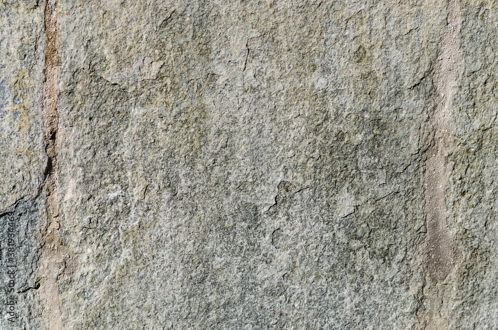 Obraz premium Granite slab, with gray shades, which create chromatisms of the various mineral crystals, these stones decorate buildings in many cities. Granite is mainly composed of quartz.
