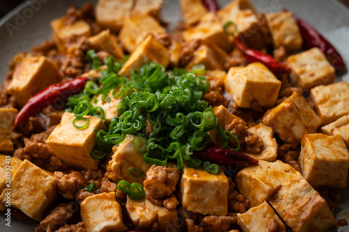 mapo tofu. traditional spicy chinese food