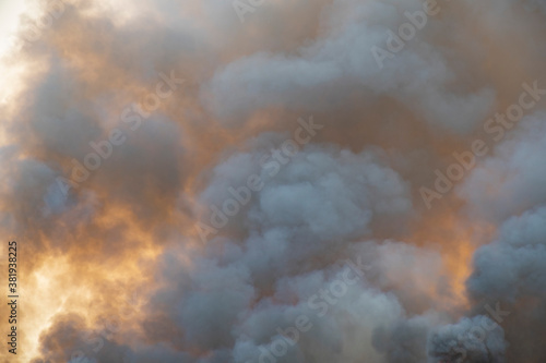 smoke pattern background of fire burn in grass fields © WP_7824
