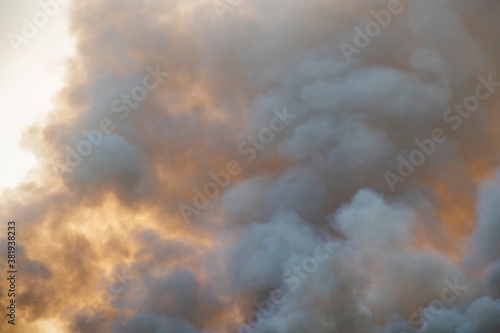 Fototapeta Naklejka Na Ścianę i Meble -  smoke pattern background of fire burn in grass fields