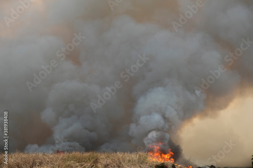 smoke pattern background of fire burn in grass fields