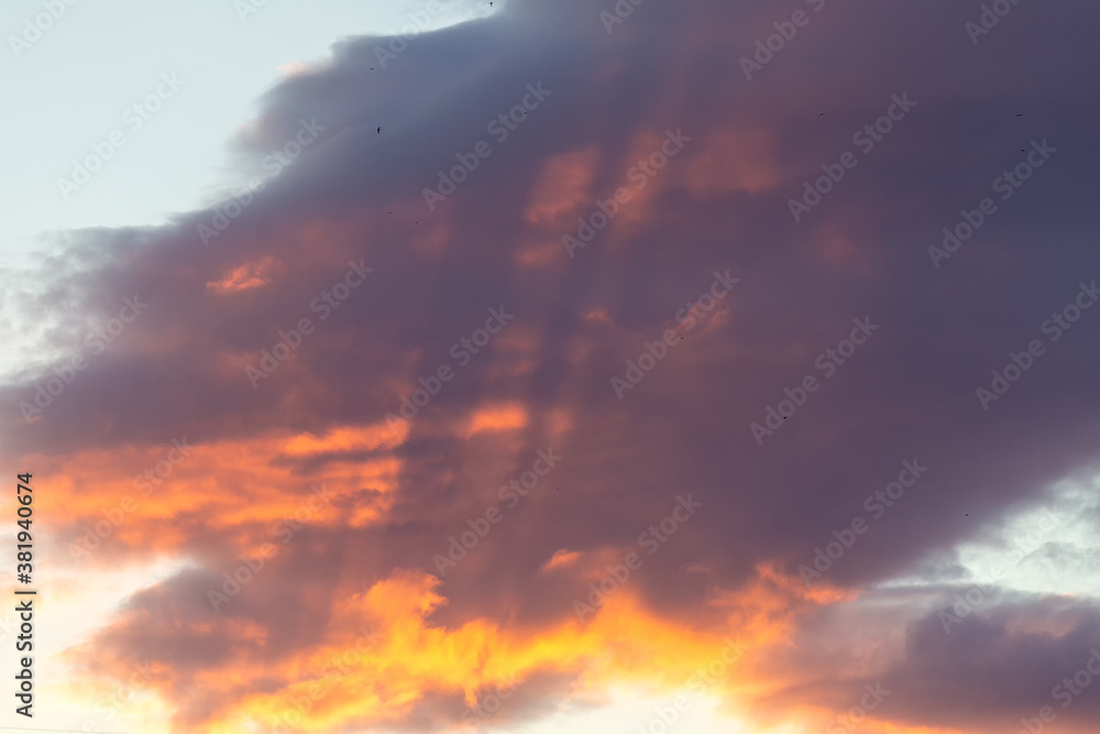 Fototapeta premium Evening sky at sunset,clouds in red and pink,autumn sky,sunset.