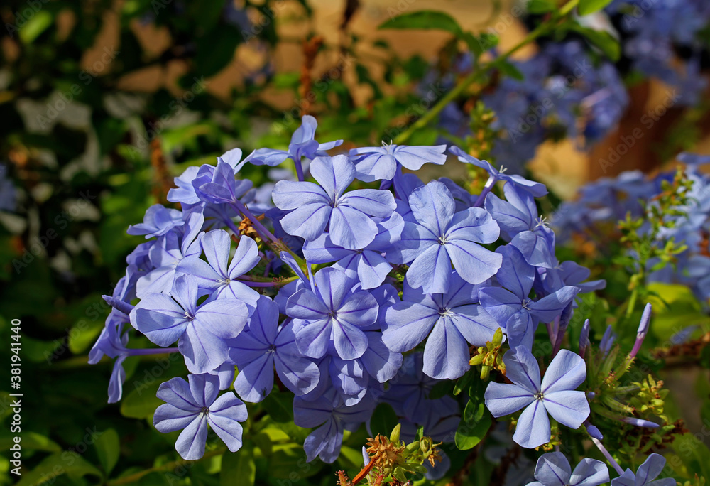 1000_F_381941440_Mn9RsE2Rvydgv