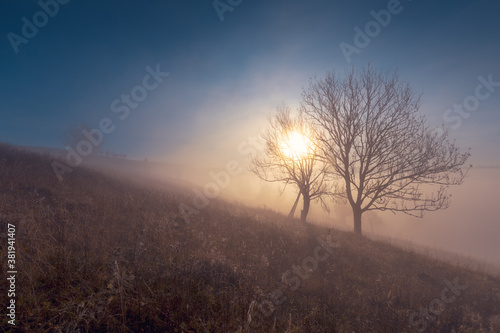 Beautiful sunrise over autumn mountain hills. Panoramic landscape with fog in the valley between mountain hills with pair of trees on the slope.