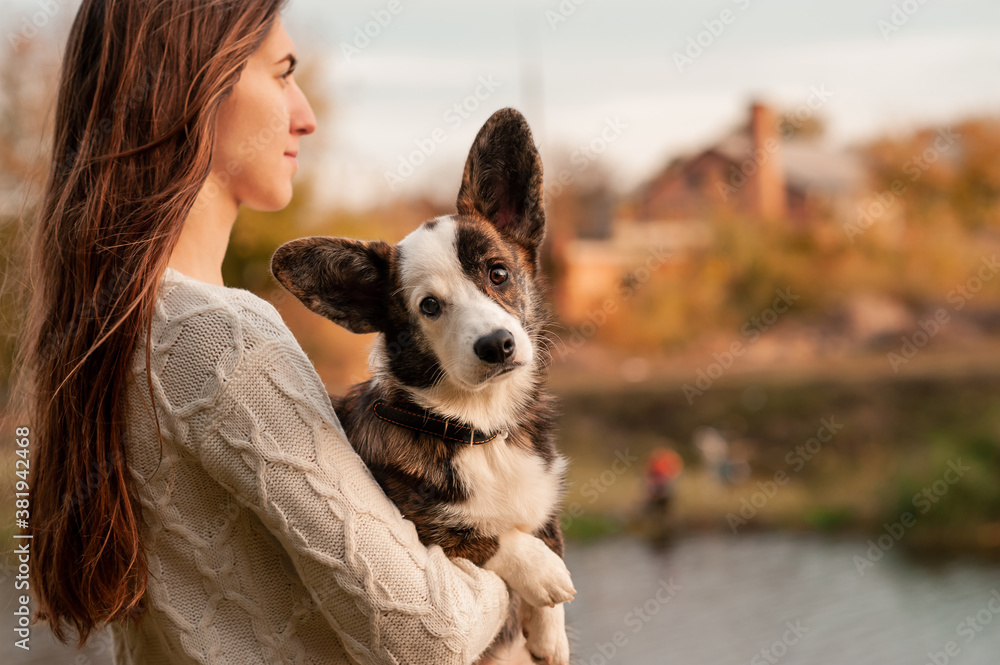 Smiling woman hugging her pet Welsh Corgi dog. Welsh Corgi dog playing with a woman walking outdoors sunny day,. love and care for the pet. Smiling woman hugging her pet Welsh Corgi dog. Welsh Corgi dog playing with a woman walking outdoors sunny day,. love and care for the pet.
