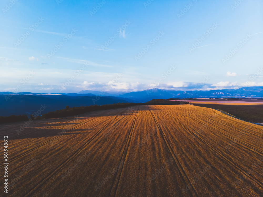 Fototapeta premium Endless fields and clear sky