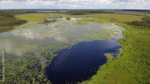 Wallpaper Mural Lake in green swamp aerial view. Forest on in background. Ecology nice place Torontodigital.ca