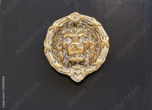 Brass door knocker showing image of lion against dark background