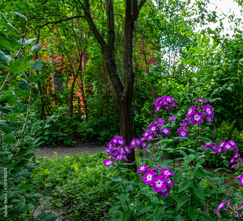 flowers in the park © Juha