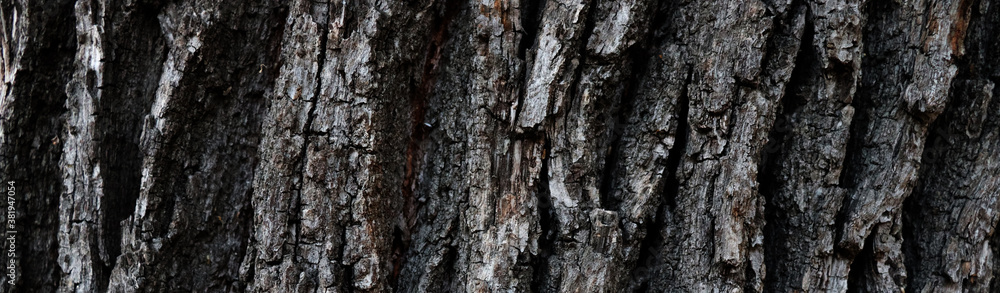 Beautiful old cracked wooden background Beautiful old cracked wooden background