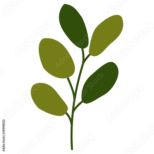 Hand drawn tree branch with leaves isolated. Olive green. Autumn and summer. Nature and ecology. Doodle cartoon. Botanical sketch. For templates, postcards, scrapbooking, prints and patterns
