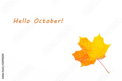 Hello October Maple yellow leaf on a white background. Maple leaf with text. New month. Autumn leaf with text. Postcard . Autumn.