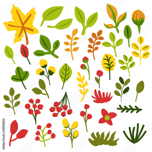 Wallpaper Mural Collection with hand drawn autumn leaves and branches isolated on white. Yellow, green and orange. Doodle cartoon style. Botanical sketch. Graphic element. For postcards, scrapbooking, print Torontodigital.ca