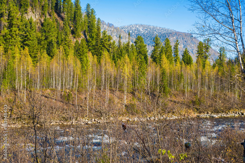 Obraz premium nature trips at different times of the year