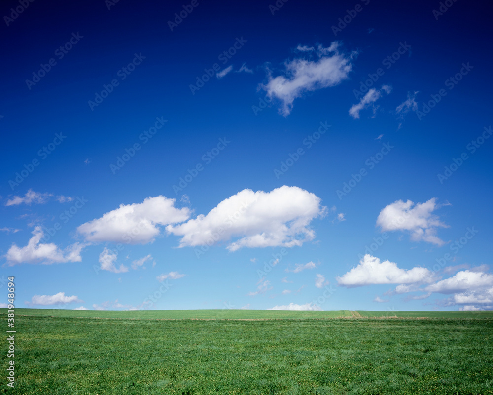 Obraz premium 美瑛の草原