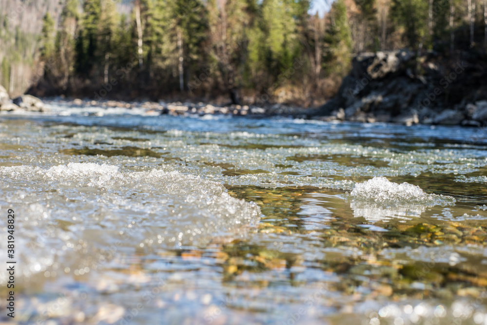 nature trips at different times of the year nature trips at different times of the year