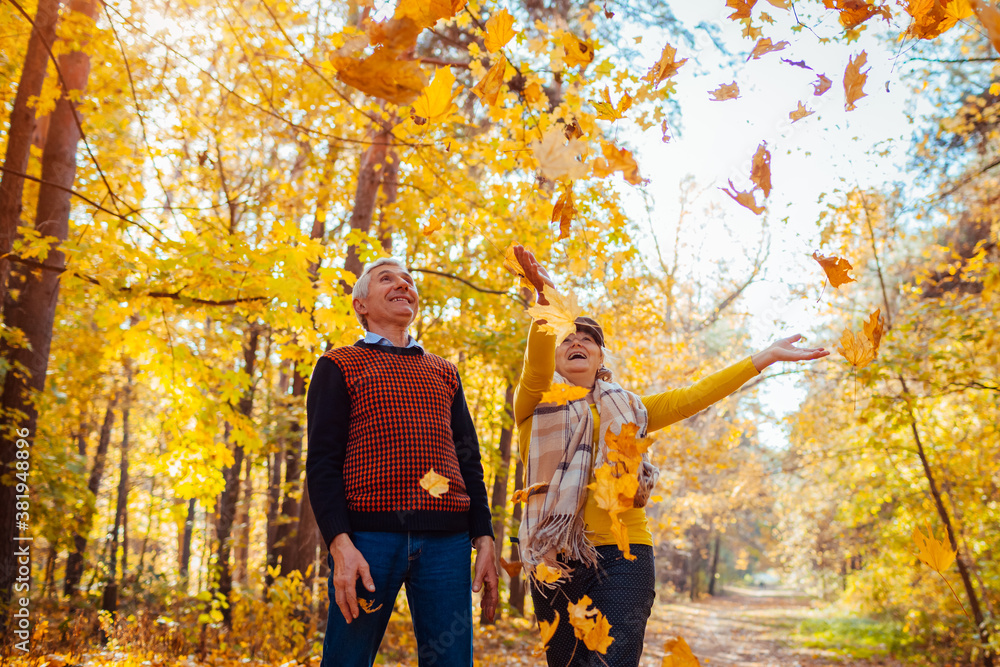 Fall season. Family couple throwing leaves in autumn forest. Senior people having fun outdoors enjoying nature - obrazy, fototapety, plakaty 