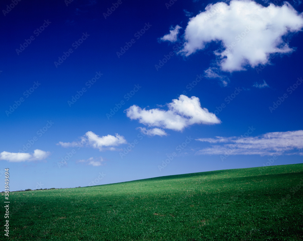 Fototapeta premium 美瑛の丘