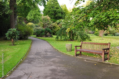 Fototapeta Naklejka Na Ścianę i Meble -  bench and path in the park