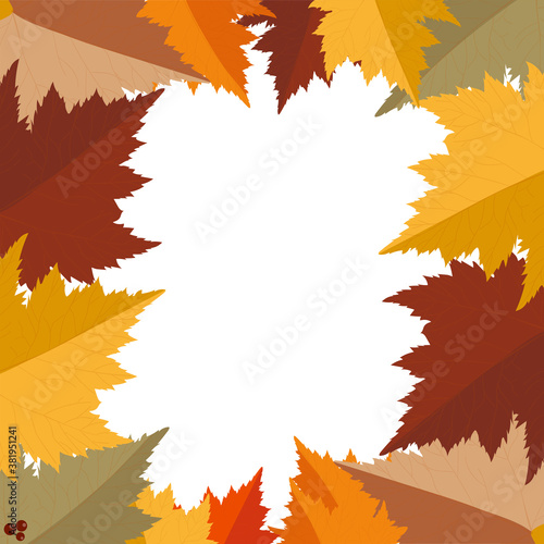 Frame of autumn leaves on a white background. Vector illustration.